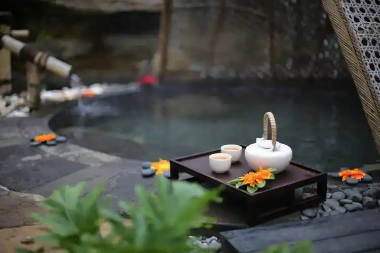 地?zé)釡厝t(yī)養(yǎng)行業(yè)賦能新質(zhì)生產(chǎn)力發(fā)展-地?zé)衢_(kāi)發(fā)利用-地大熱能 地?zé)釡厝t(yī)養(yǎng)行業(yè)賦能新質(zhì)生產(chǎn)力發(fā)展-地?zé)衢_(kāi)發(fā)利用-地大熱能