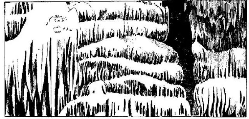 盤點各類地質地貌類型-地熱資源開發(fā)-地大熱能 盤點各類地質地貌類型-地熱資源開發(fā)-地大熱能