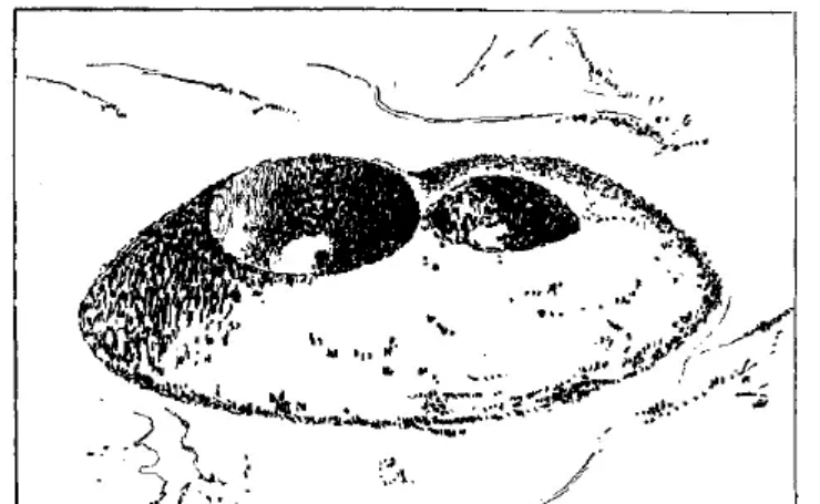 盤點各類地質地貌類型-地熱資源開發(fā)-地大熱能 盤點各類地質地貌類型-地熱資源開發(fā)-地大熱能