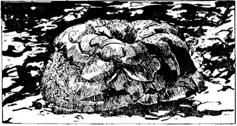 盤點各類地質地貌類型-地熱資源開發(fā)-地大熱能 盤點各類地質地貌類型-地熱資源開發(fā)-地大熱能