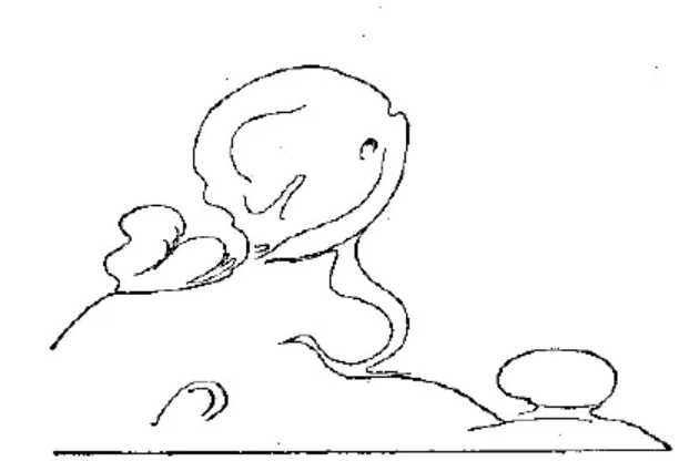 盤點各類地質地貌類型-地熱資源開發(fā)-地大熱能 盤點各類地質地貌類型-地熱資源開發(fā)-地大熱能